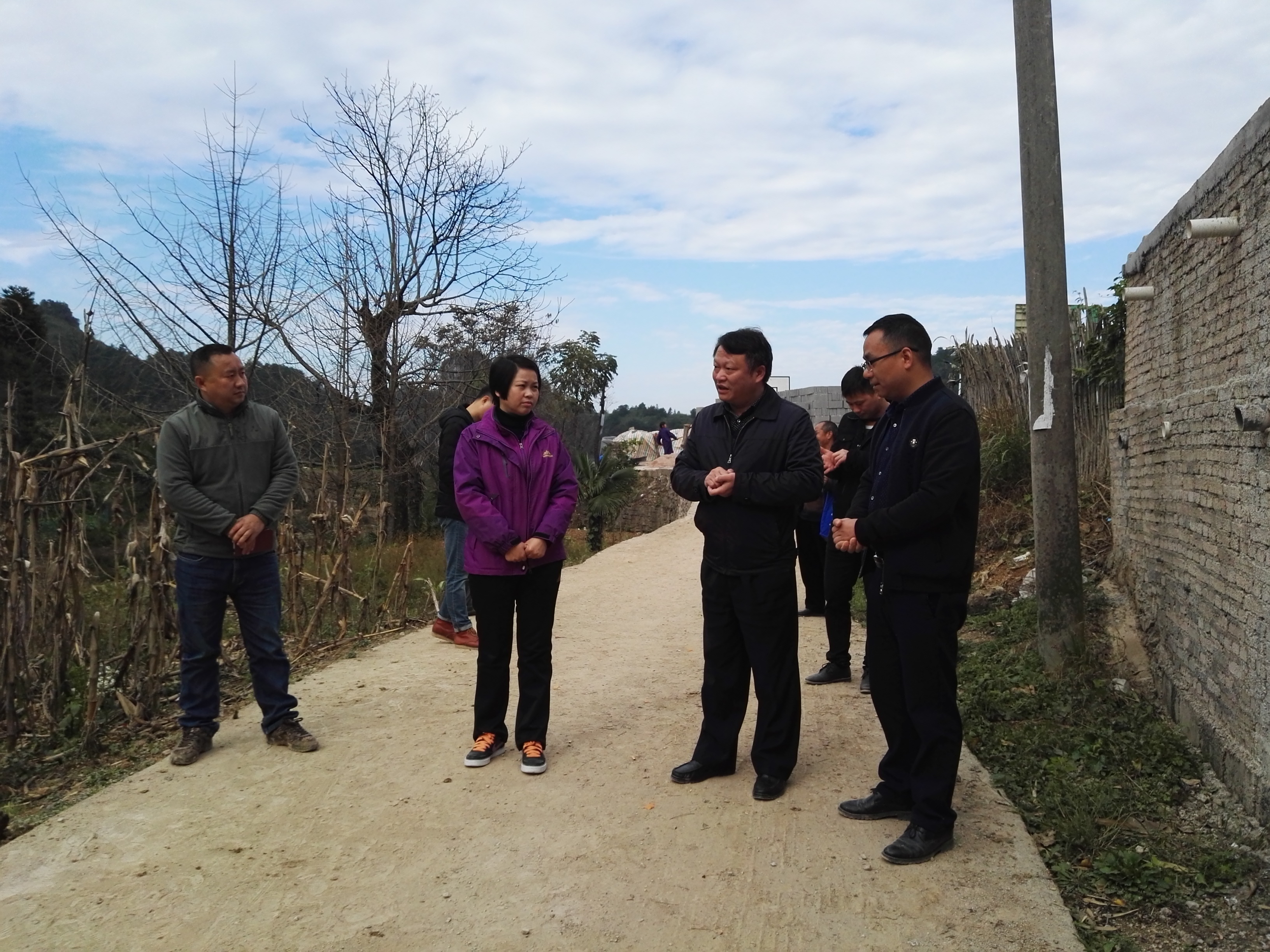 ��ѩ÷һ�е�����ɽ�����ָ�����ĸ�һ��һά������